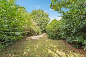 Photo 23- click for photo gallery